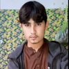 jamshidgomal1122