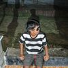 holex8