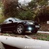 alex410633