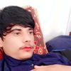 reza.gholi