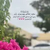 user96082554481872