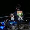 panjull_nii