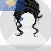 albaniana6