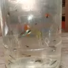 quanninh82