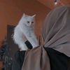 muslim_vibe388
