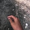 _elmoraayasha29