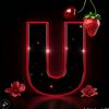 rajaibrahim9004