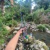 unclemancing