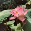 phantrongduong23_1
