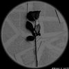 f.esenova4