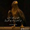 gujjar13407