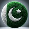mustafa__449