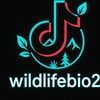 wildlifebio2