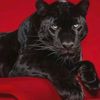 aawwrr_2008