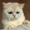 emoonrmaf