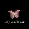user5073813265521