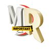 MR IMPORTANT SENIOR