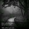 user22258812620025