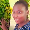 ynawamboo