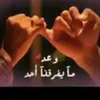 user6780286359474