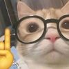 kiiler_529