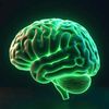 test_bektorina