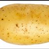 mrpotato6026