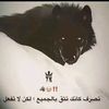user8496824717830