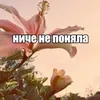 nastivvoyjc