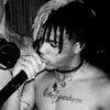 Willyxrmdhn16_