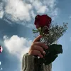 user13414229491983