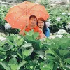anh.thu.huynh70