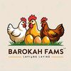 barokahfams01