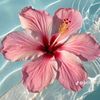malak.waleed183