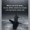 naille130585