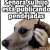 luis.jesus498