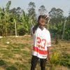 inno9130