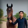azhar.ali47346