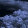 dexo_2202
