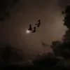 justlilwizard