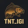 tntigi