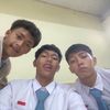 sebelass f2rewer