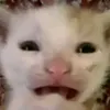 q1q0o