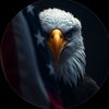breakingusa311