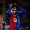 ahmedshaheen8417