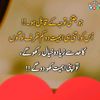 fazal.abbas5219