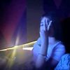 palm456292