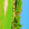 abdsalm61