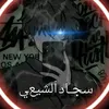 sajadalquraishi8