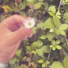 secret.account8430